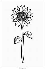 9 Sunflower coloring Pages Free PDF & PNG Printables sketch template