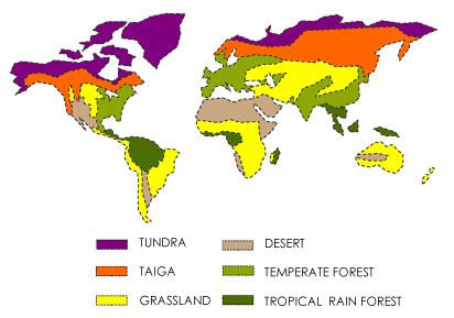 What are the two main types of biomes? And four important abiotic factors that affect the kinds ...