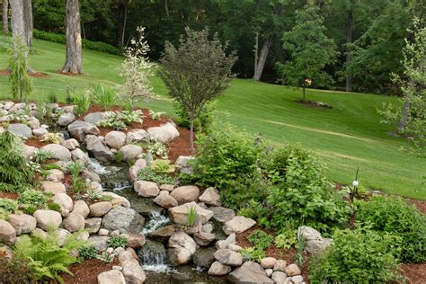 Edging and Planting a Natural Pond | Twin Cities, Minneapolis, St Paul ...