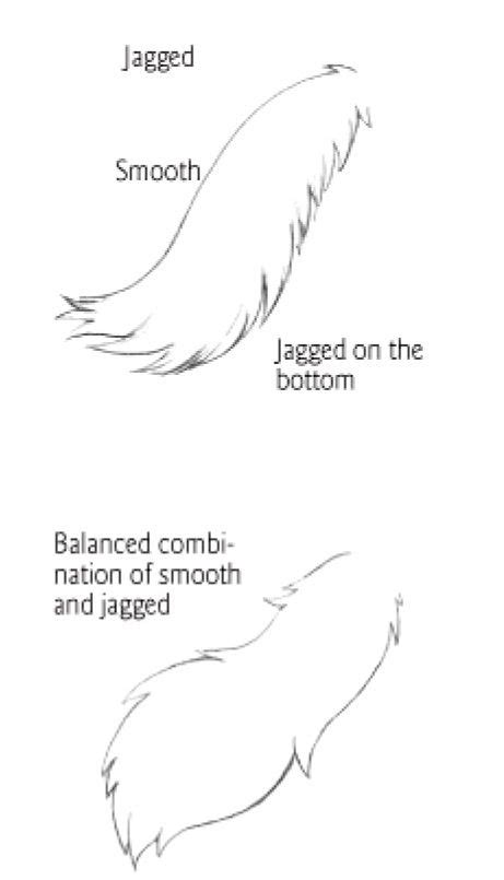 Tail types 2 | Cat drawing tutorial, Drawing tips, Cat drawing