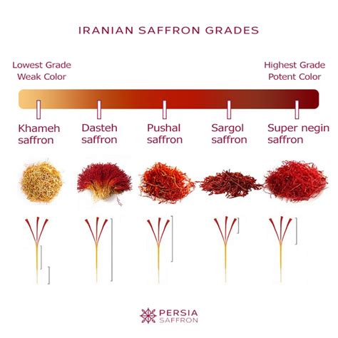 Iranian Saffron Grades , An Ultimate Guide - Persia Saffron