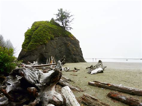 The Freelance Adventurer : Olympic National Park Beaches