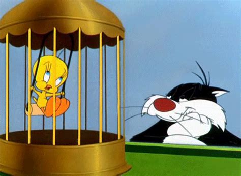 Tweety Bird Photo (32084612) - Fanpop | Looney tunes characters, Looney ...