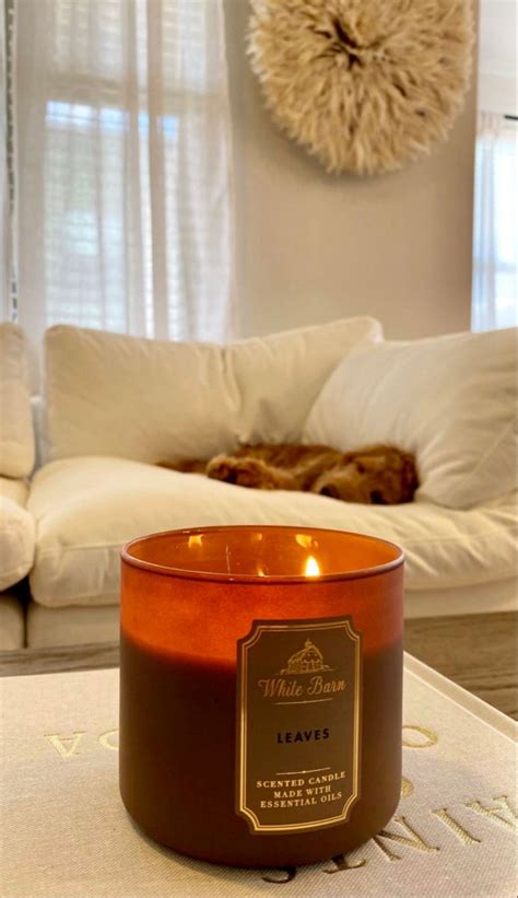 Pin by 𝐫𝐞𝐞 on autumn 🍁🥮 in 2023 | Fall candles, Candle obsession, Fall ...