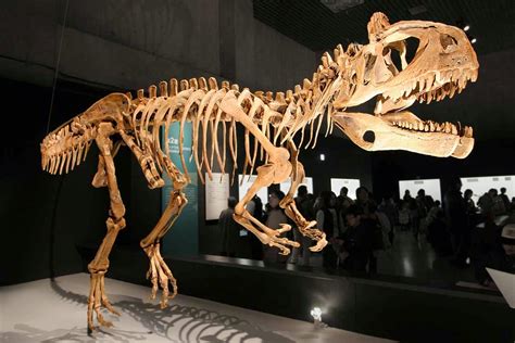 Prehistoric Beast of the Week: Cryolophosaurus: Prehistoric Animal of the Week