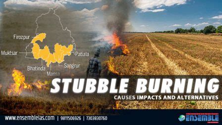 Stubble burning: Causes Impacts and Alternatives