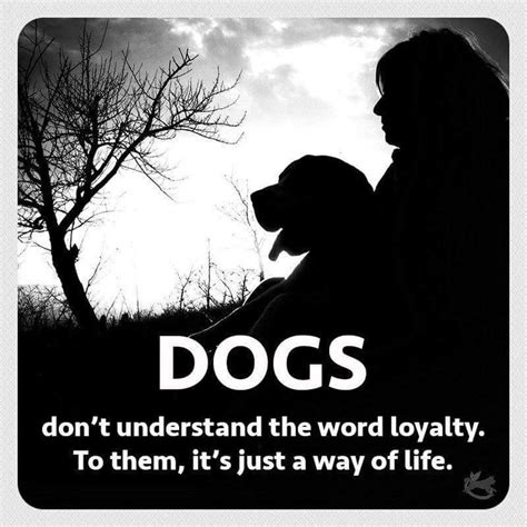 Pin on Black dog | Dog quotes, I love dogs, Animal quotes