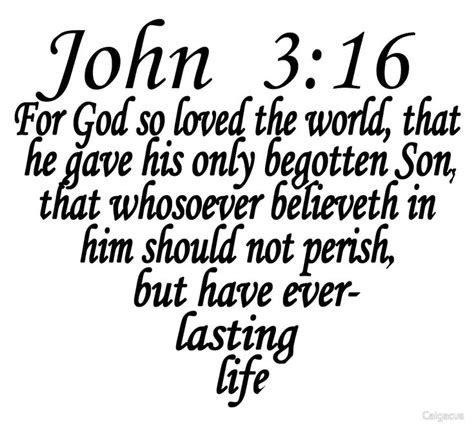 John 3:16 | Powerful bible verses, Scripture lettering, John 3 16 verse scriptures