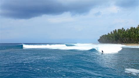 Telo Island Lodge Surf Report | Pegasus Lodges