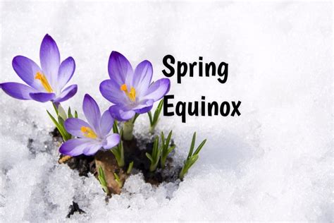 Spring Equinox 2023 - CamillusInty