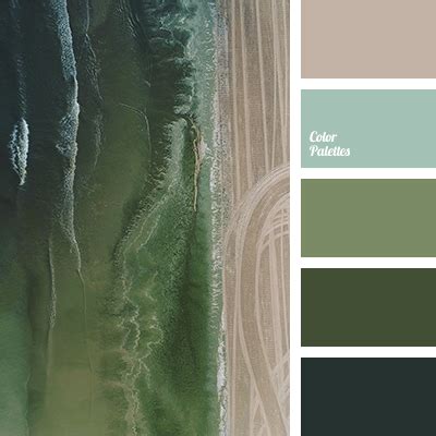 emerald green | Color Palette Ideas