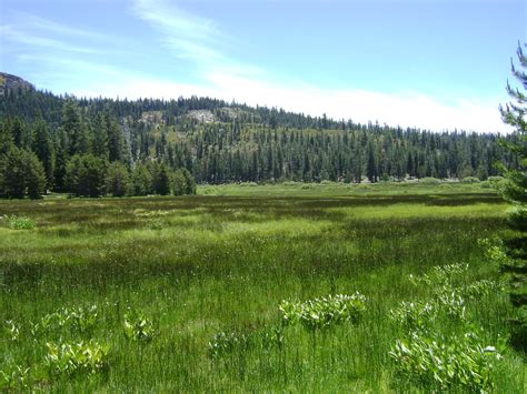 Mountain Meadow Restoration Project, Sierra Nevada and Cascade Mountains — California Climate ...