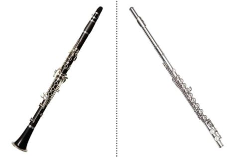 What’s the Difference Between the Clarinet And the Flute? An In-Depth Comparison – Sound ...