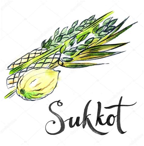 Watercolor lulav and etrog, Sukkot plants — Stock Photo © mimino #84406306