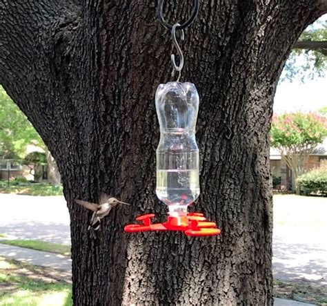 DIY Hummingbird Feeder [3D Print] – DFW Craft Shows