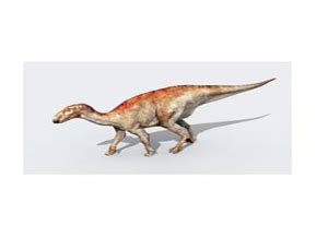 Mantellisaurus dinosaurs , facts | pictures -Mantellisaurus habitat.