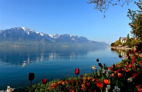 Elevation of Montreux, Switzerland - Topographic Map - Altitude Map