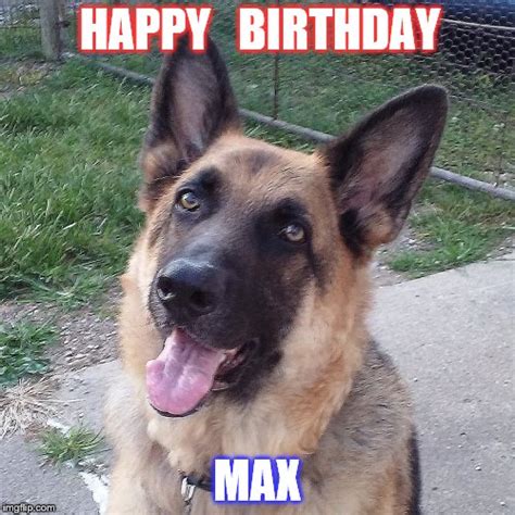 Max Birthday - Imgflip