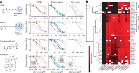 HDAC inhibitor drug targets and target complexes are defined by ...