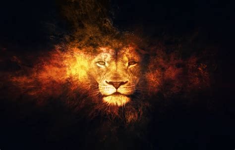 Wallpaper fantasy, lion, animal, artistic, fire.flames images for ...