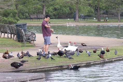 Surprising Scenes of Houston's New Coronavirus Normal — 40 Images That Show the City in a New ...