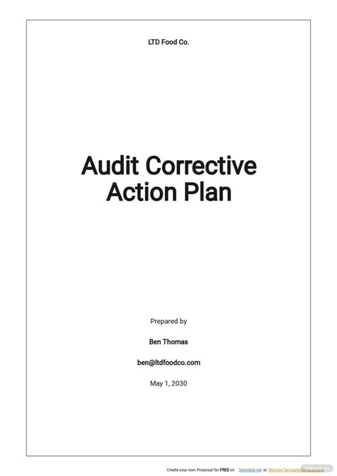 Audit Corrective Action Plan Template - Google Docs, Word, Apple Pages ...