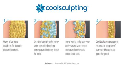 CoolSculpting® » UF Health Plastic Surgery and Aesthetics Center » UF Academic Health Center ...