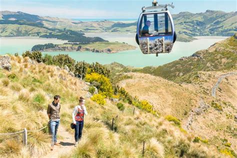 Christchurch: Gondola Ride | GetYourGuide