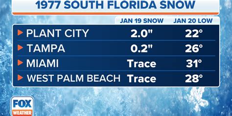 South Florida saw snow 45 years ago. Could it happen again?