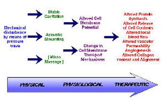 Therapeutic Ultrasound - Physiopedia