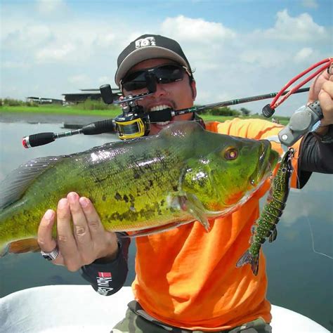 Bass Fishing Lures: The Top 10 Revealed – The Fishing Master