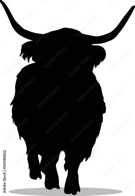 Vecteur Stock Highland Cow Silhouette, cute Highland Cow Vector Silhouette, Cute Highland Cow ...