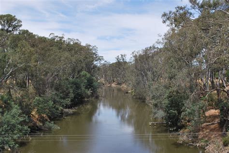 Goulburn River | Wiki | Everipedia