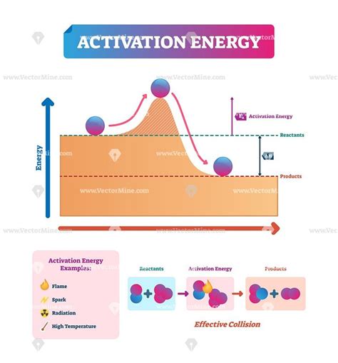 Activation energy vector illustration example diagram | Physics and ...