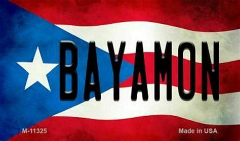 Bayamon Puerto Rico Flag Background Metal Magnet