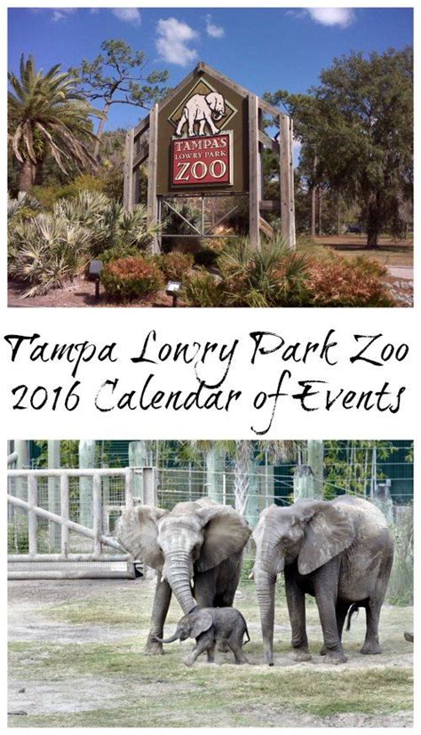 Tampa Lowry Park Zoo 2016 Calendar of Events | Florida activities, Orlando activities, Family ...