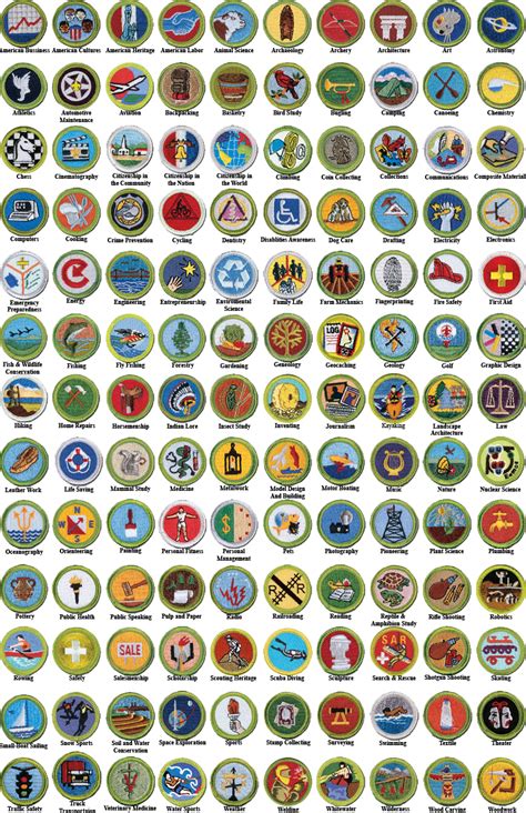 All About Merit Badges – Boy Scout Troop 169