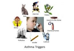 Common Asthma Triggers