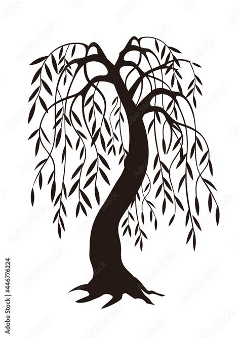 Weeping Willow tree, black silhouette. Illustration of melancholy tree ...