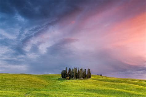 Tuscany Field In Italy, HD Nature, 4k Wallpapers, Images, Backgrounds, Photos and Pictures