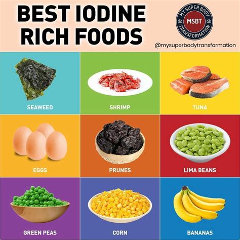 Foods High In Iodine - WEDINGPOKA