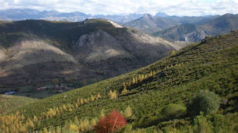 Cantabrian Mountains – Trophy Hunting Spain