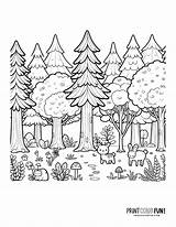 Beautiful Mountain And Forest Coloring Page  PrintColorFuncom sketch template