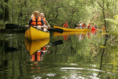 Parcourir la Leyre en Canoë kayak - Descente en canoë kayak entre amis sur la Leyre - Mexico Loisirs