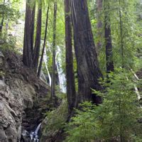 Big Sur Hiking Trails & State Parks