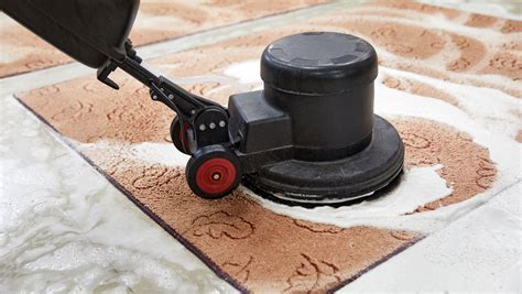 How to Shampoo a Carpet: Step-by-Step Process | Restoration Oak - Blog