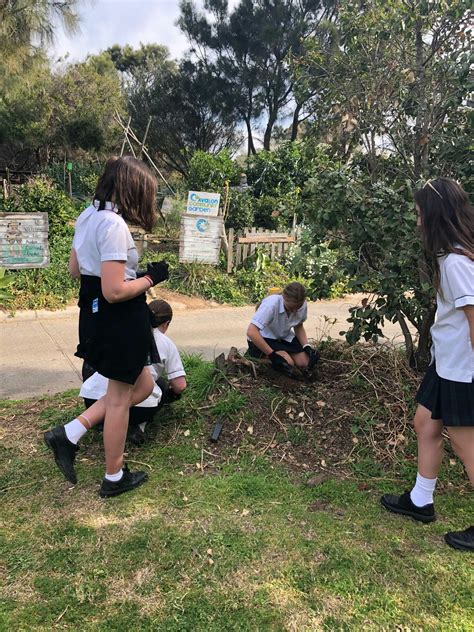 Barrenjoey High School’s ‘Ecojoeys’ are transforming their school for ...