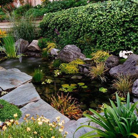 Benefits of Aquatic Plants in Your Pond – TotalPond