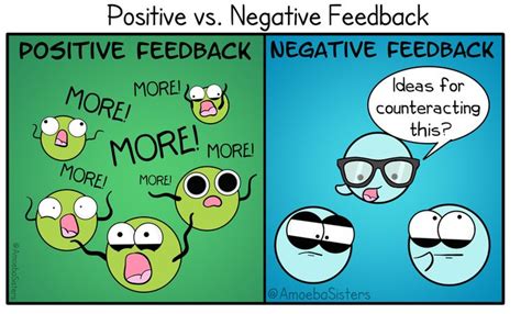 Positive vs. Negative Feedback in Biology