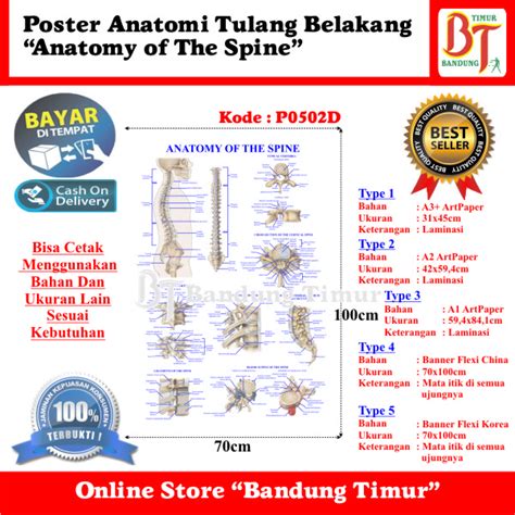 Jual POSTER ANATOMI TULANG BELAKANG - ANATOMY OF THE SPINE | Shopee Indonesia